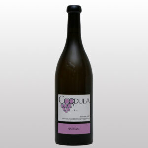 Pinot Gris 2023 - 75cl