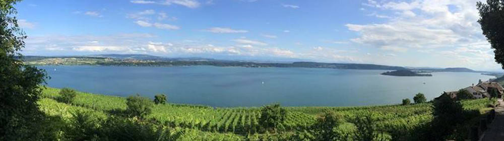 002_footer_weinbau_cordula_morgenegg_posch-19e950d38f