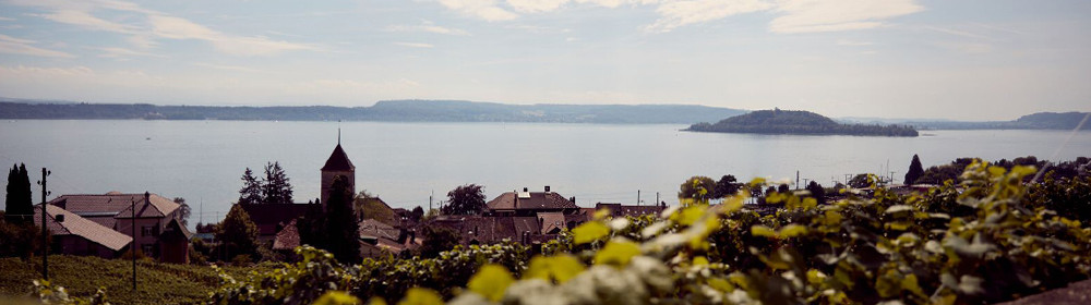 017_footer_weinbau_cordula_morgenegg_posch-72d4e5b649