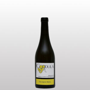 Sauvignon Blanc 2024 - 50cl