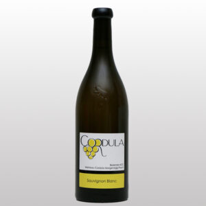 Sauvignon Blanc 2025 - 75cl