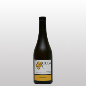 Chasselas 2025 - 50cl