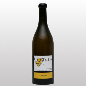 Chasselas 2025 - 75cl