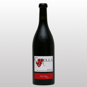 Pinot Noir Classic 2024 - 75cl