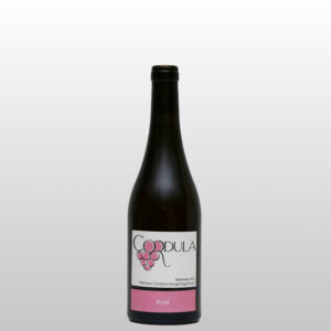 Rosé 2024 - 50cl