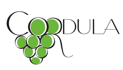Traube in verschiedenen Farben 07