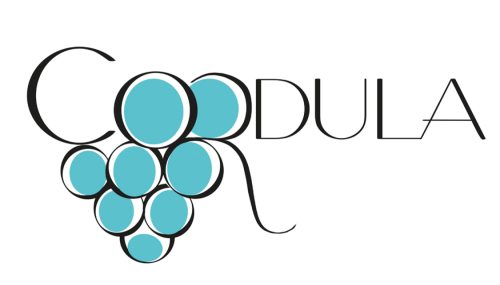 Traube in verschiedenen Farben 14
