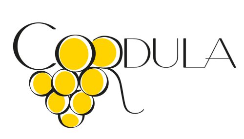 Traube neue Farben Chasselas